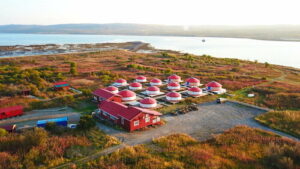 Глэмпинг Arctic Tours & Views Лисица
