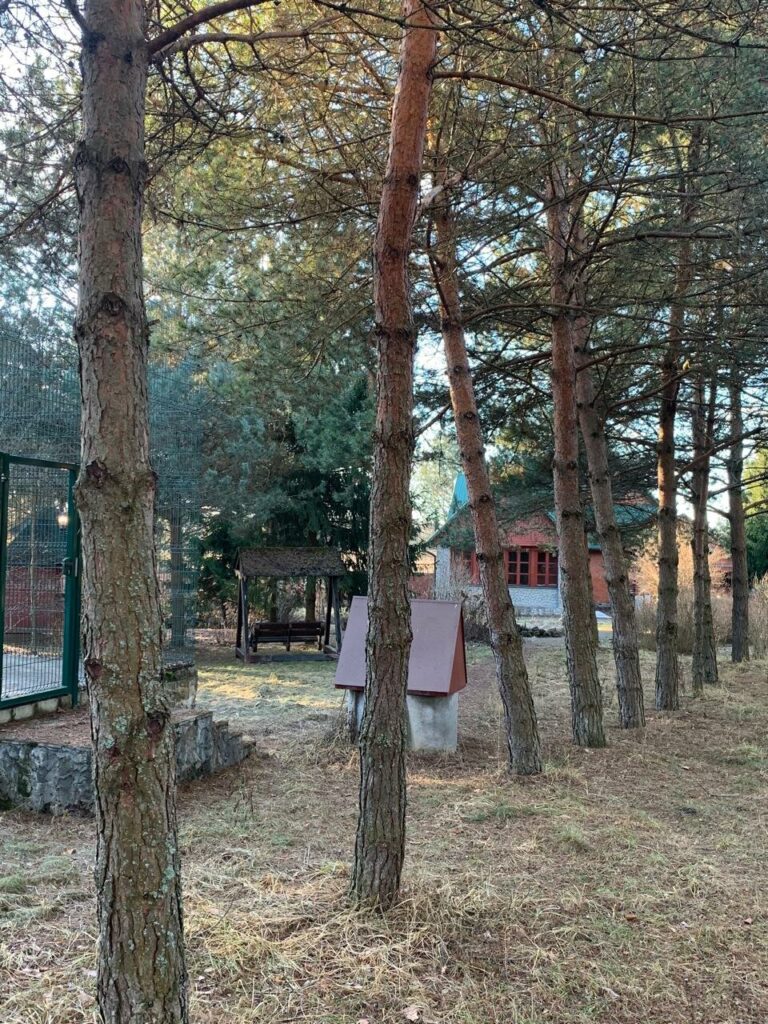 Глэмпинг Дом Енота