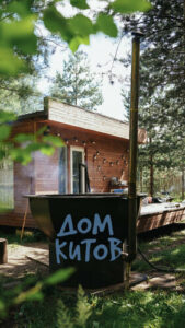 Глэмпинг Дом Китов