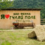 Глэмпинг Эко ферма Гуляй Поле