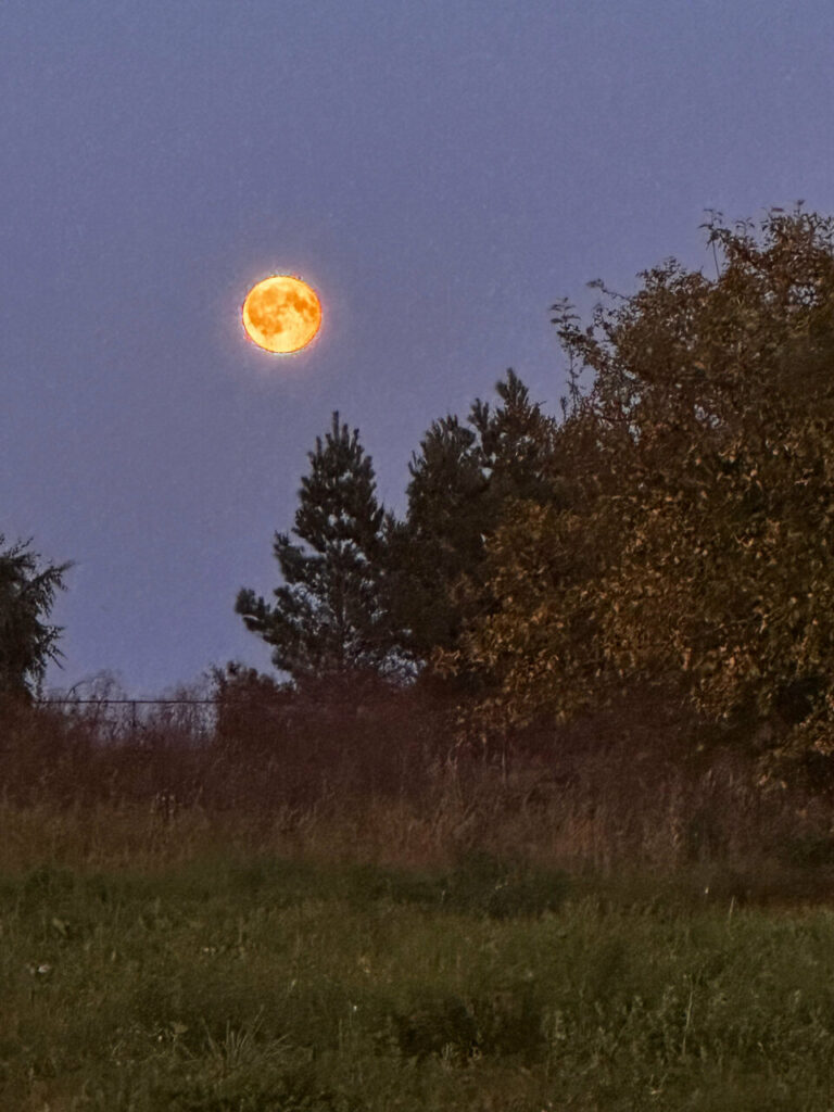 Глэмпинг КосмоСфера