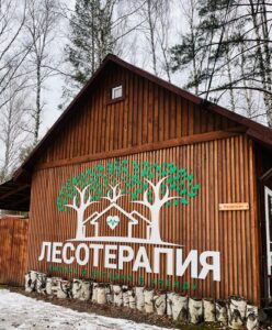 Глэмпинг Лесотерапия