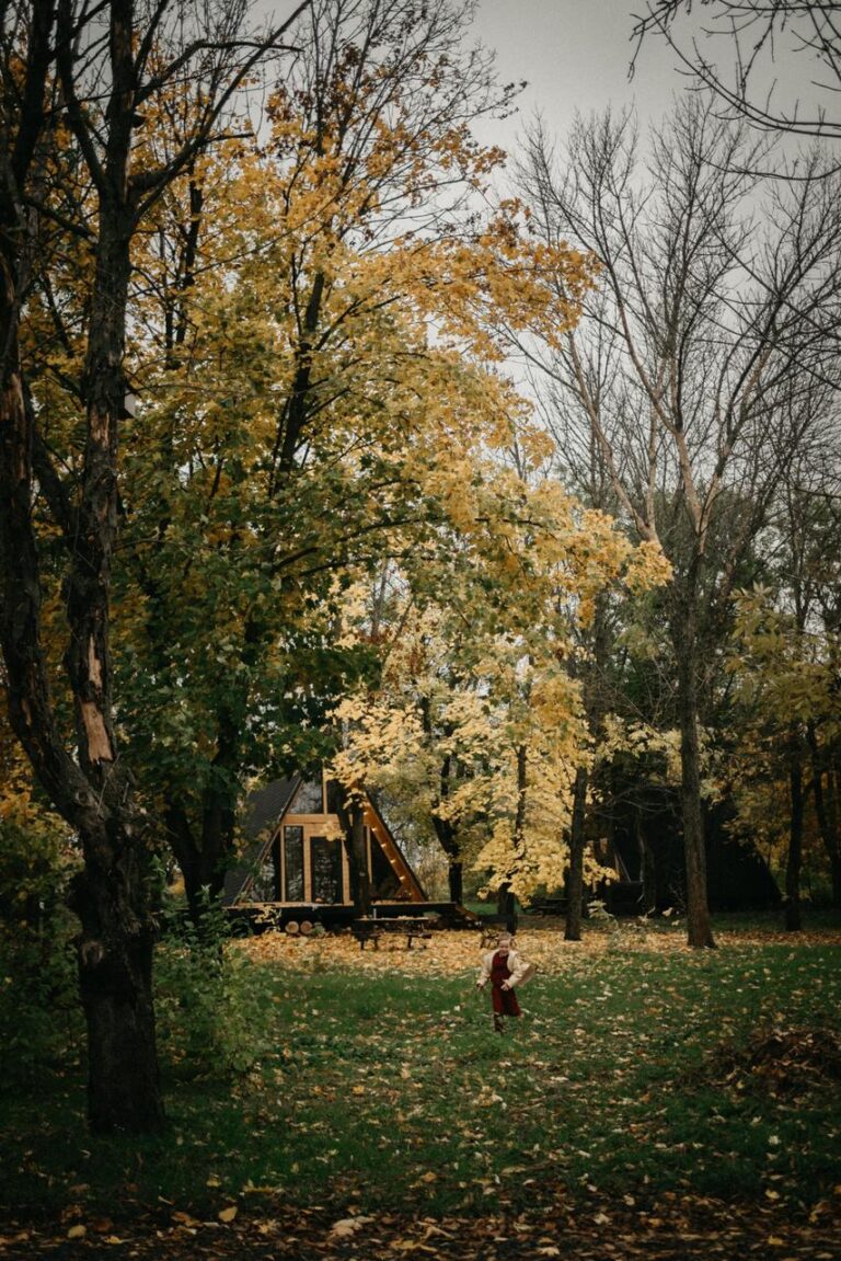 Глэмпинг Просто Лес